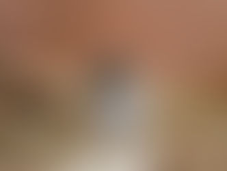 Sicherer Freilauf für deinen Hamster – wie du ein bodenschonendes, sicheres Gehege selbst bauen kannst