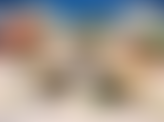 Nutztiere im Winter – Worauf du im Januar achten solltest