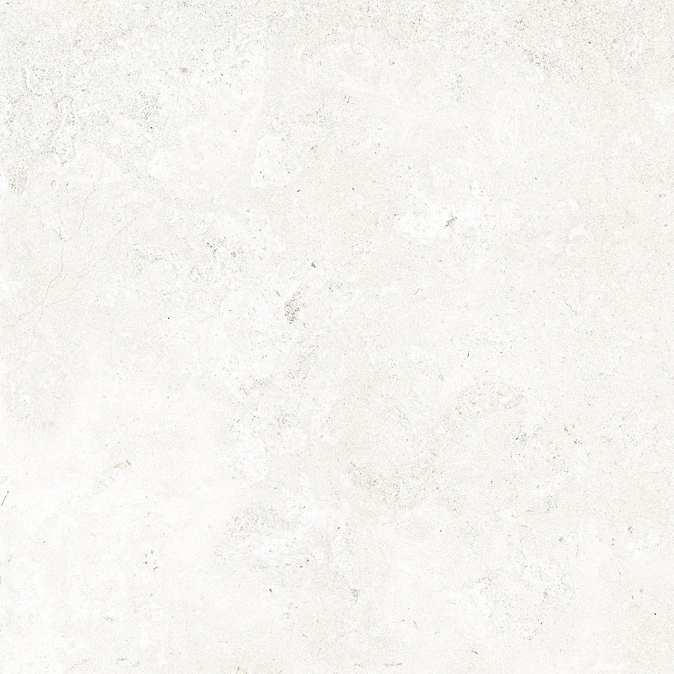Thumbnail: PERSIA 120x120 - Concrete