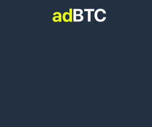 300x250.gif