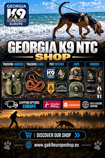ChatGPT Image 20 sept. 2026, 21_02_39.png