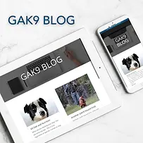 gak9 blog