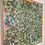 Thumbnail: Spring Banksia large format