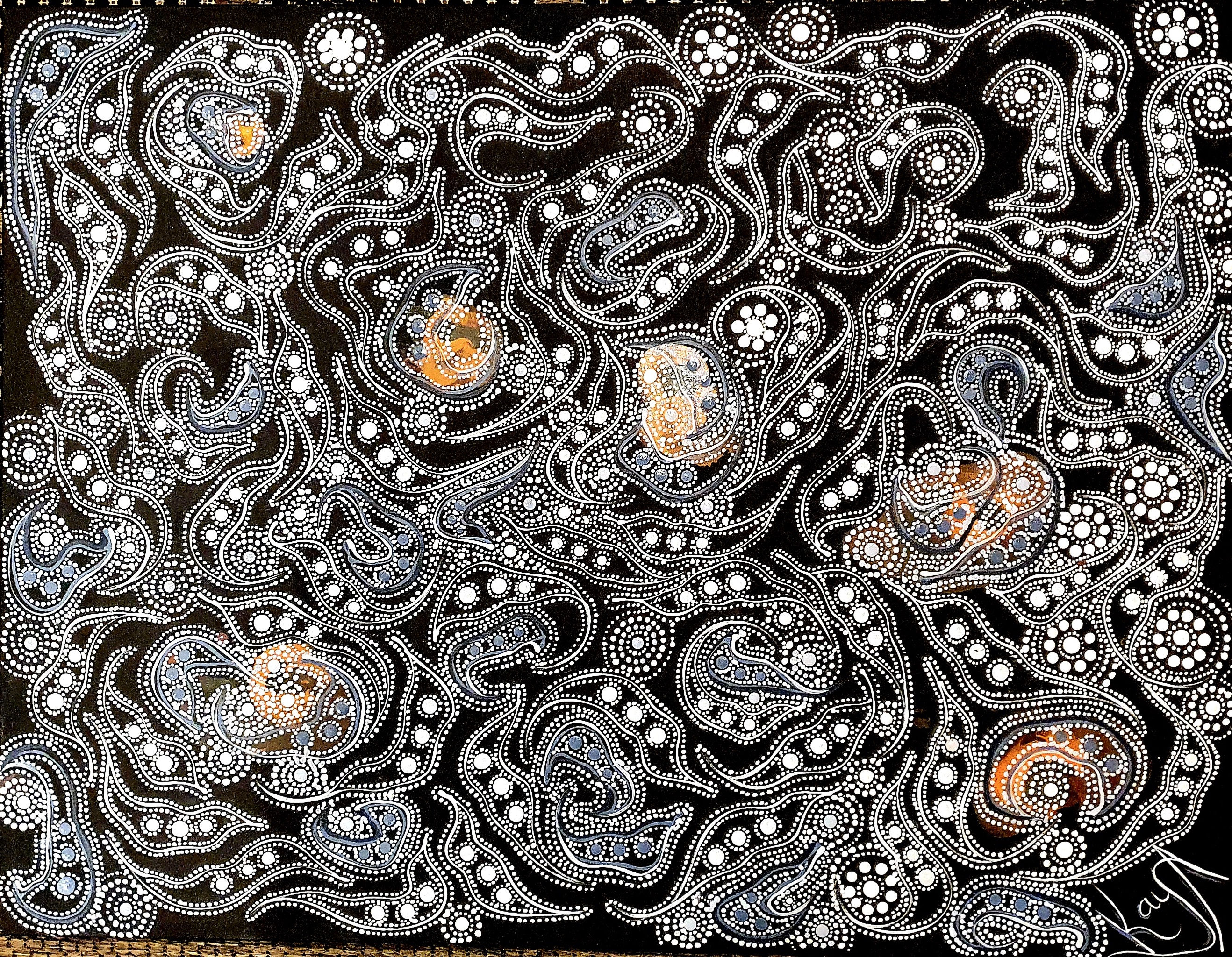 Budhara - Flying Fox