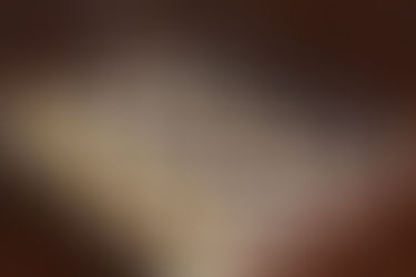 The Rules of the Universe