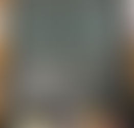 The Feather Detective by Chris Sweeney