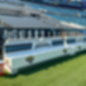 JacksonvilleJags2_edited.png