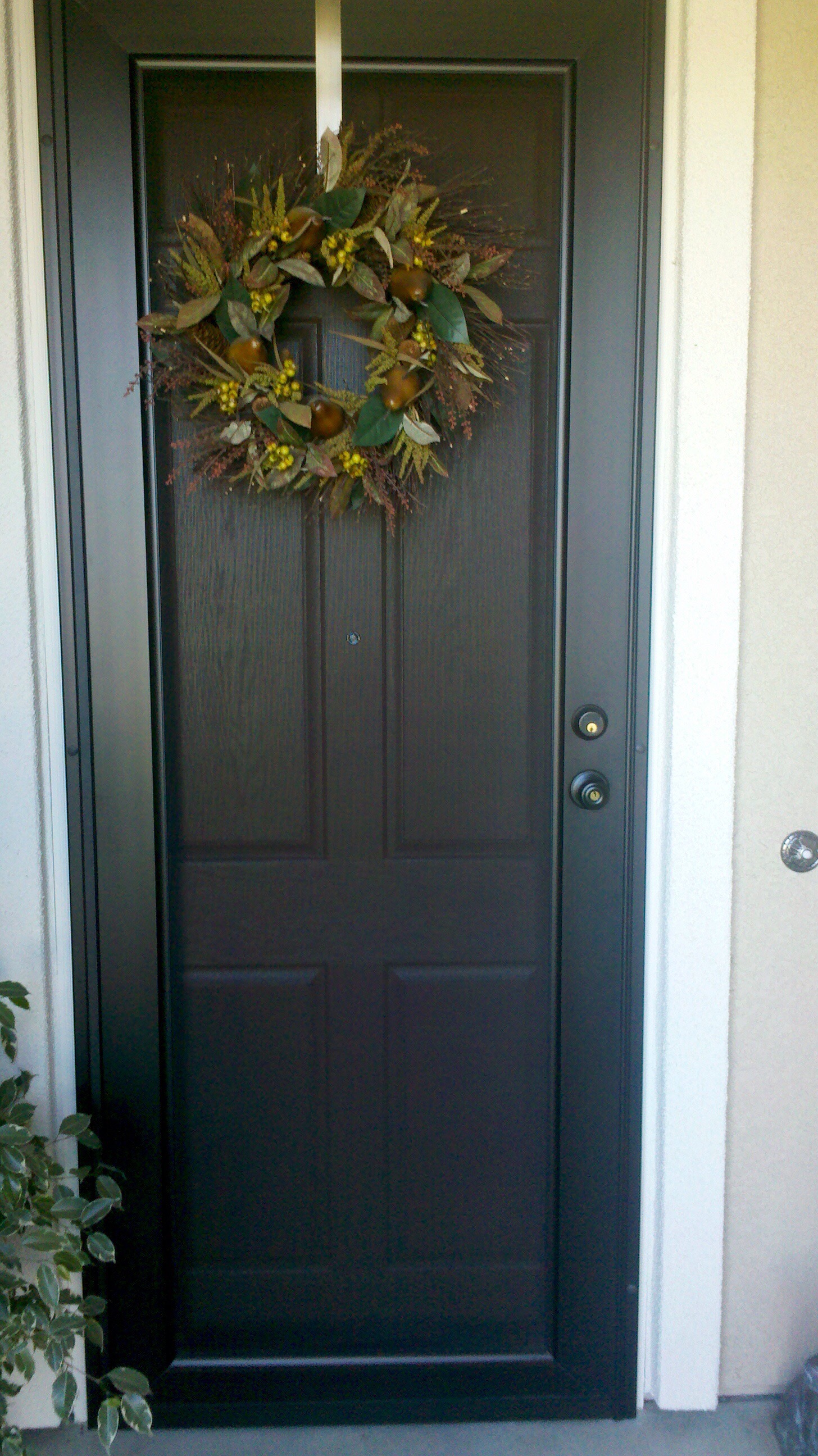 Viewguard Security Doors Genuine Meshtec