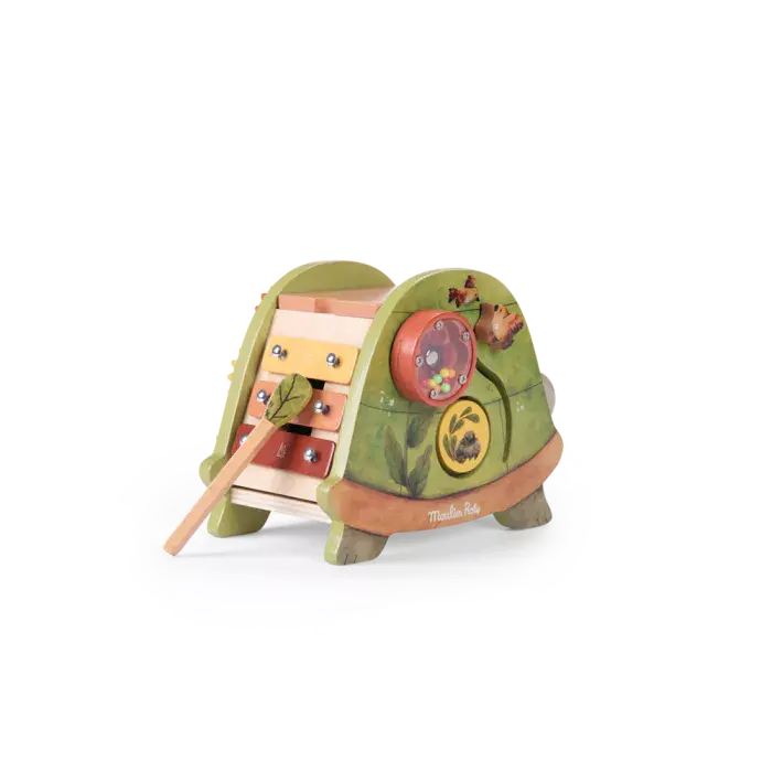 Miniature : Tortue d'activités