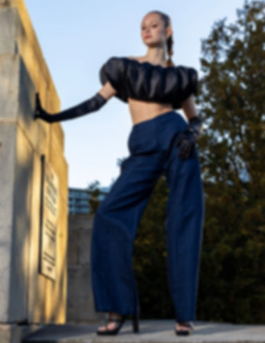 High Waisted Deep Blue Brocade Trousers