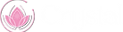 Logo Crystal_horizontal