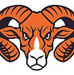 Salem High School Football