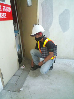 Rodent Control