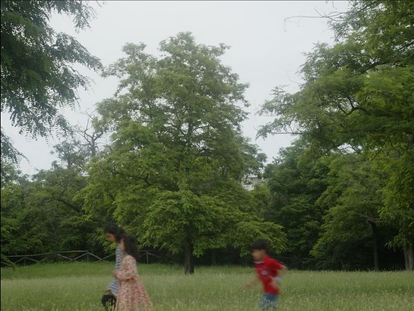 Screenshot 2025-10-08 alle 22.54.58.png