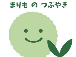 オープンまであと少し！