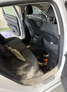 Full Interior Reset Before.jpeg