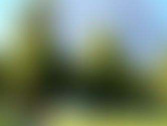 Nice to meet you Australia