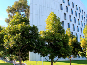 Nice to meet you Australia