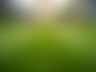 The Ultimate Guide to Lawn Mowing in New Cumberland PA How to Achieve a Healthy and Perfectly Groomed Lawn