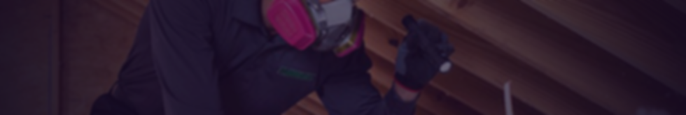 Attic-Inspection.png
