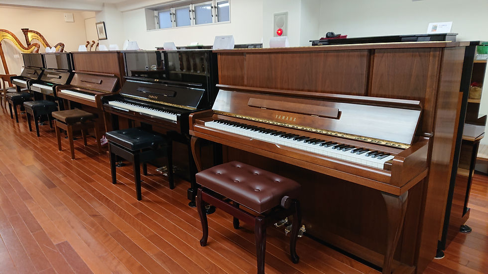 【札幌店】12月25日(木)通常営業