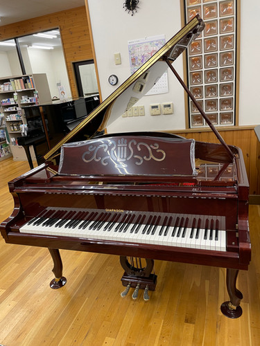 DIAPASON DG-166F（新品） | 株式会社 井関楽器