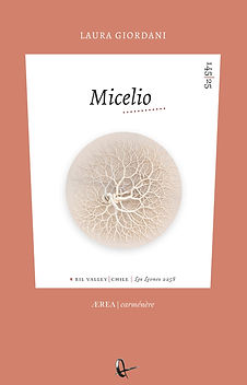 Micelio Portada.jpg