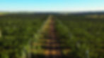 Screenshot_14.jpg
