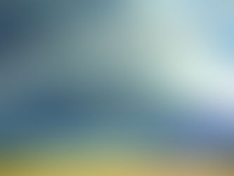 גיליון ינואר 2020