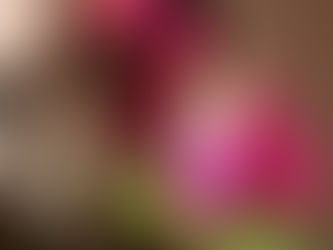 גיליון ינואר 2019