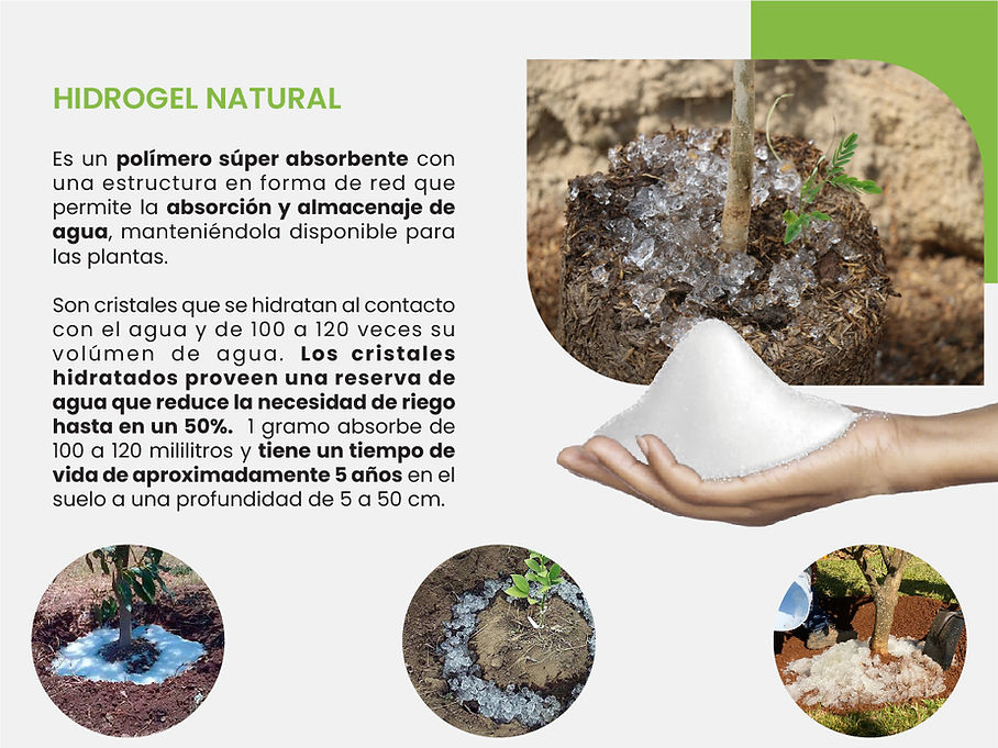 .:Hidrogel Agrícola: Lluvia sólida:.