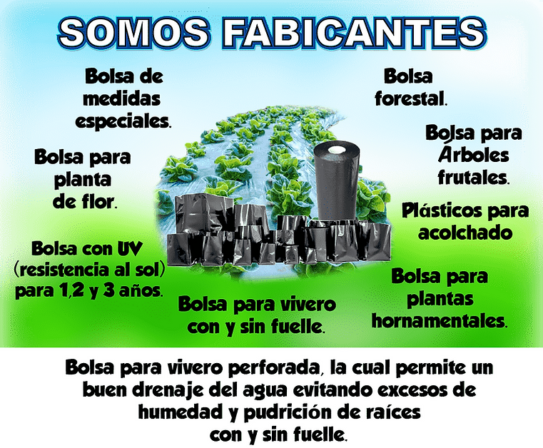 Mesa de trabajo 1-min.png