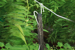 Gancho de Metal 18cm.