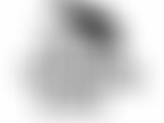 Stundung Erbschaftsteuer, Wohnimmobilien