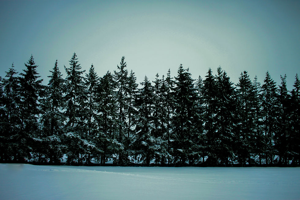 Through the looking glass: Snow Day!
