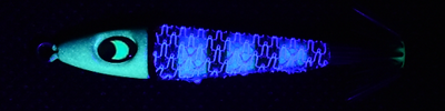 Zebra Glow - glowing