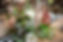 EBP-EcoDeco2023-81.jpg
