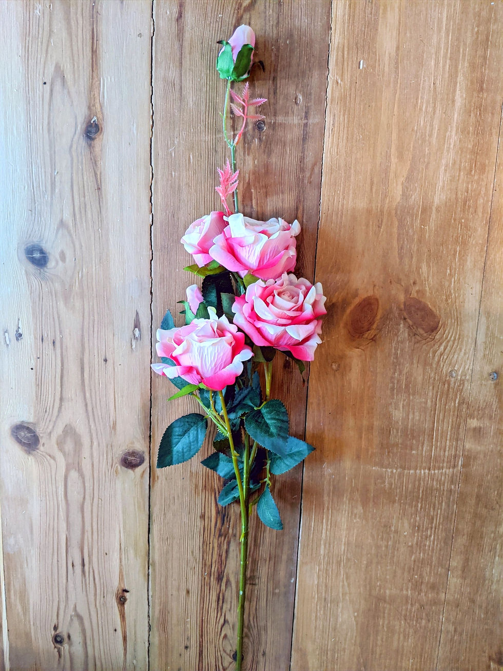 Thumbnail: Roses (various)