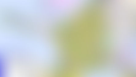 Das Revolutionszeitalter 1790 bis 1816 