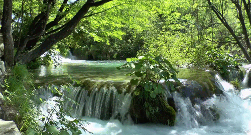 wasserfall.gif