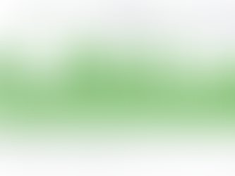 How has the suburb of Bulimba in Brisbane (Queensland) performed from 2009 to 2019?