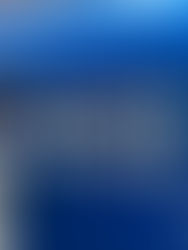 Awarded the AL-SW AWS Customer Obsession Award