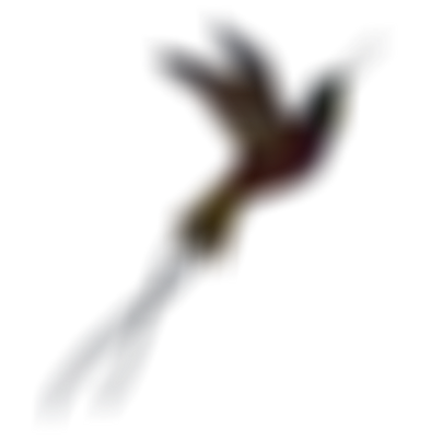 Watercolor Bird 2_edited_edited.png