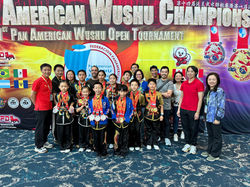 Pan Am Wushu Championship