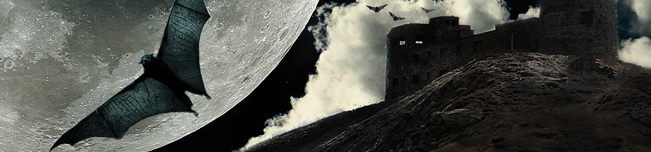 Full Moon Bat 