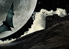 Pleine Lune Bat