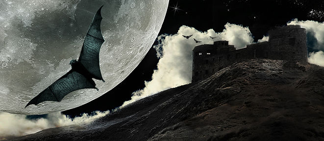 Full Moon Bat