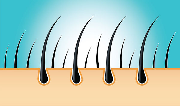 Active Ingredients_HAIR.jpg
