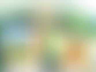 【スマホから毎日の投票でマドレボニータを応援!】Green Ponta Action「みんなで応援プロジェクト」支援団体に選定されました!