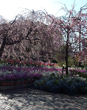 IMG_2877.png